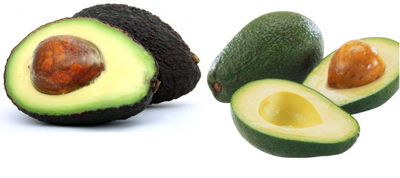 avocado