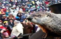 Groundhog