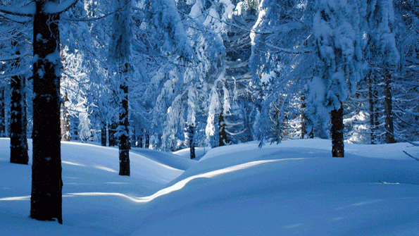 Winter in West Virginia